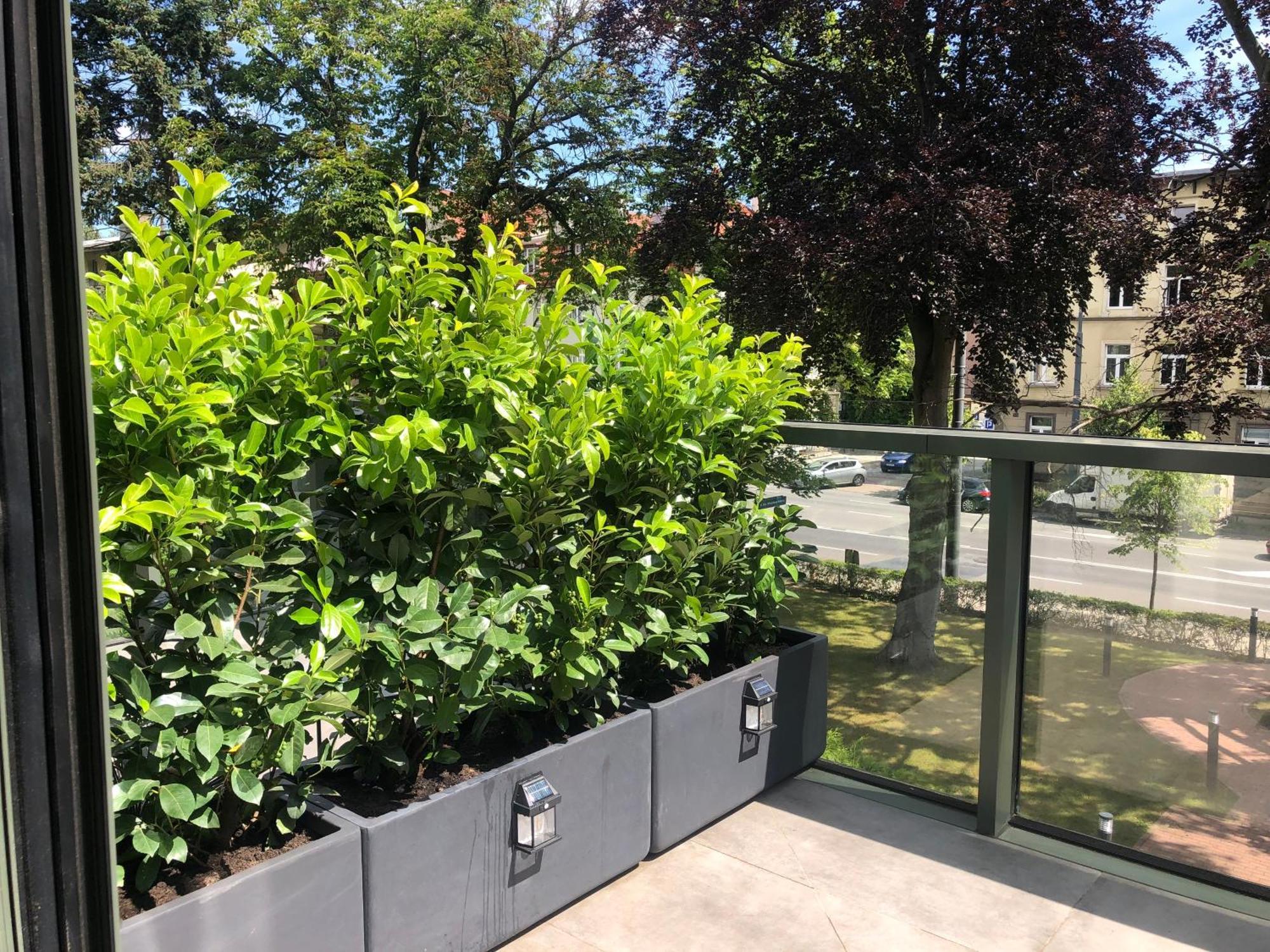 Villa Ozone Sopot Bagian luar foto